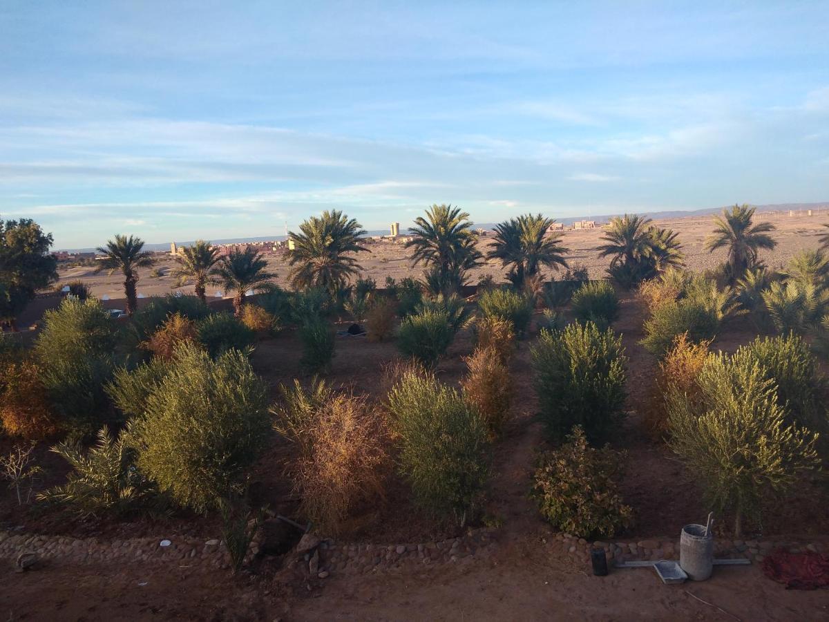 Jardin Du Desert 모하미드 외부 사진